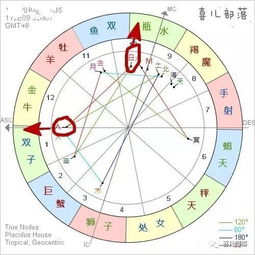 第一宫是什么星座（星座排列顺序解析）