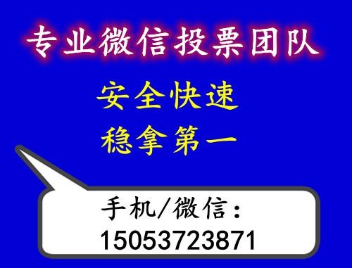 人工投票群组方案设计图价格 人工投票团队吧