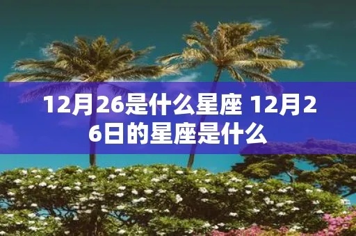 12.26是什么星座,12月26日生日星座特点解析