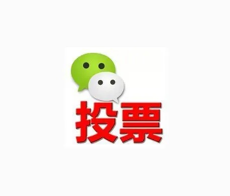 上海微信投票人工投票价格 微信人工投票一万票100块