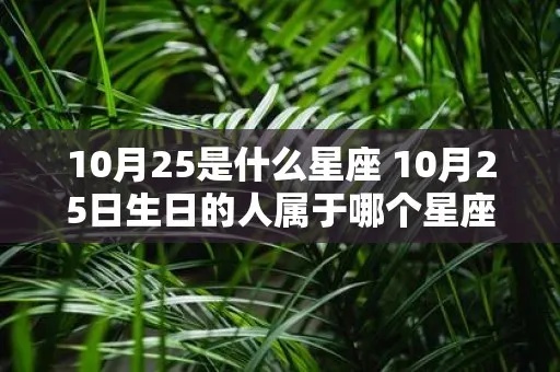 农历10月25日是什么星座（十月二十五日生人的星座特点）