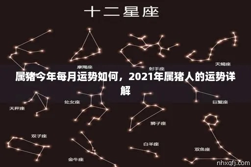 5.19生日星座是什么,5.19星座人的性格特点及运势分析