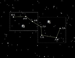 大熊座是什么星座,大熊座星座特点解析