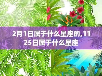 1125是什么星座,1125生日星座解析