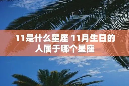 11月底是什么星座（探讨11月底出生的人的星座特征）