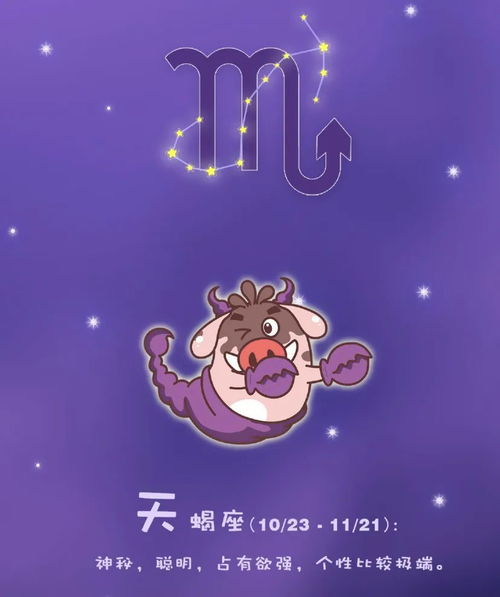 12月6日是什么星座的（12月6日生日的人属于什么星座）