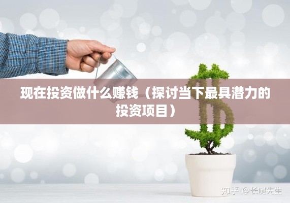 现在投资做什么赚钱（探讨当下最具潜力的投资项目）