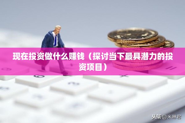 现在投资做什么赚钱（探讨当下最具潜力的投资项目）