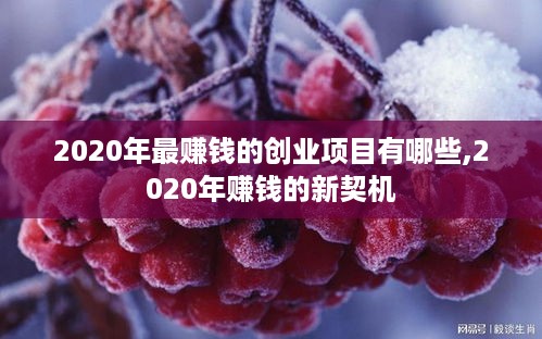 2020年最赚钱的创业项目有哪些,2020年赚钱的新契机