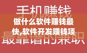 做什么软件赚钱最快,软件开发赚钱项目推荐