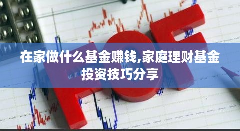 在家做什么基金赚钱,家庭理财基金投资技巧分享