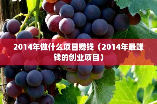 2014年做什么项目赚钱（2014年最赚钱的创业项目）