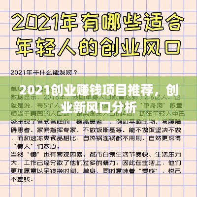 2021创业赚钱项目推荐，创业新风口分析