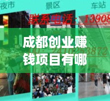 成都创业赚钱项目有哪些,成都创业好项目推荐