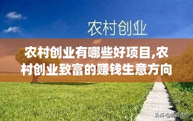 农村创业有哪些好项目,农村创业致富的赚钱生意方向