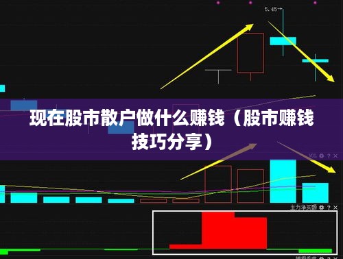 现在股市散户做什么赚钱（股市赚钱技巧分享）