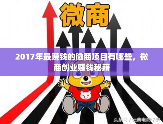 2017年最赚钱的微商项目有哪些，微商创业赚钱秘籍