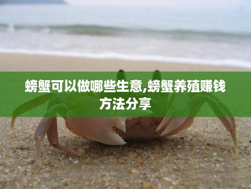 螃蟹可以做哪些生意,螃蟹养殖赚钱方法分享