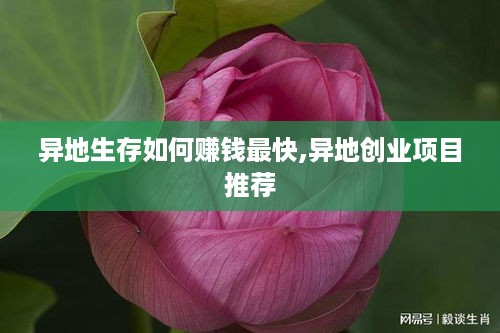 异地生存如何赚钱最快,异地创业项目推荐