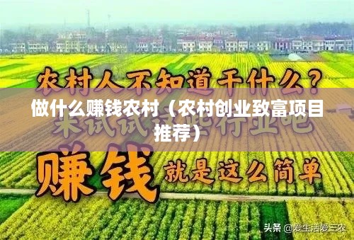 做什么赚钱农村（农村创业致富项目推荐）