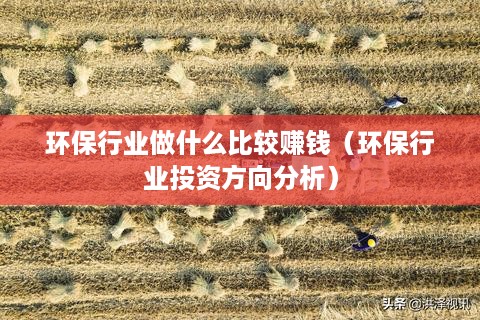 环保行业做什么比较赚钱（环保行业投资方向分析）