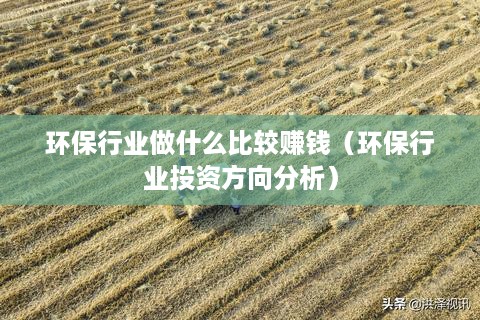 环保行业做什么比较赚钱（环保行业投资方向分析）