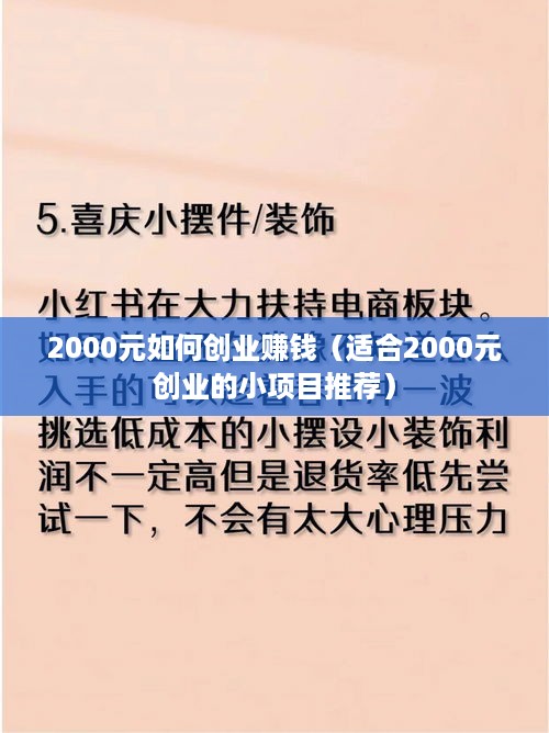 2000元如何创业赚钱（适合2000元创业的小项目推荐）