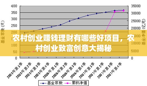 农村创业赚钱理财有哪些好项目，农村创业致富创意大揭秘