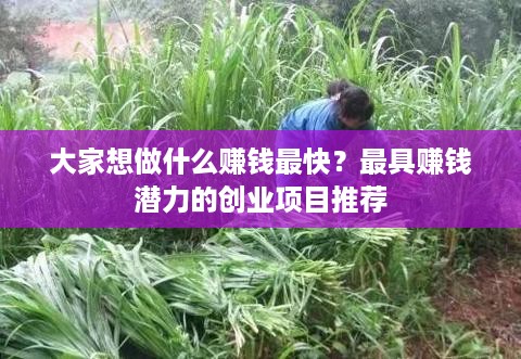 大家想做什么赚钱最快？最具赚钱潜力的创业项目推荐