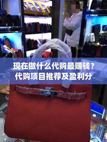 现在做什么代购最赚钱？代购项目推荐及盈利分析