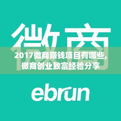 2017微商赚钱项目有哪些,微商创业致富经验分享