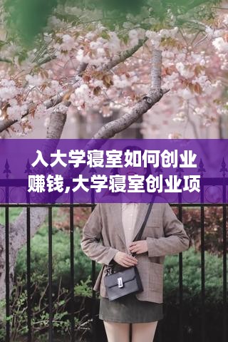 入大学寝室如何创业赚钱,大学寝室创业项目推荐