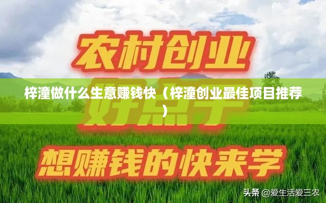 梓潼做什么生意赚钱快（梓潼创业最佳项目推荐）