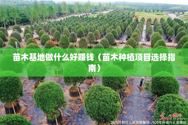 苗木基地做什么好赚钱（苗木种植项目选择指南）