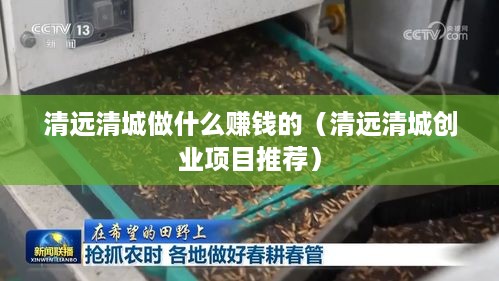 清远清城做什么赚钱的（清远清城创业项目推荐）