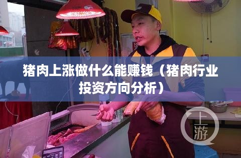 猪肉上涨做什么能赚钱（猪肉行业投资方向分析）