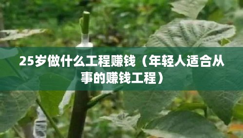 25岁做什么工程赚钱（年轻人适合从事的赚钱工程）