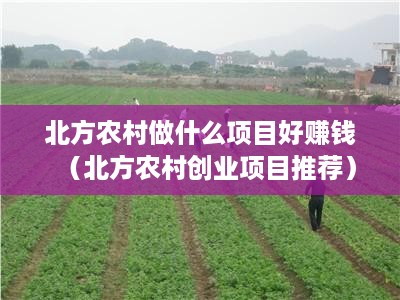 北方农村做什么项目好赚钱（北方农村创业项目推荐）