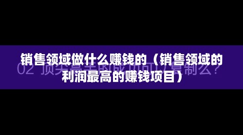 销售领域做什么赚钱的（销售领域的利润最高的赚钱项目）