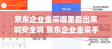 京东企业金采哪里套出来啊安全吗 京东企业金采手机如何还款