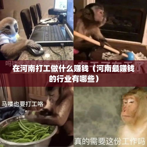 在河南打工做什么赚钱（河南最赚钱的行业有哪些）