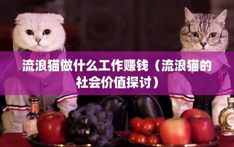 流浪猫做什么工作赚钱（流浪猫的社会价值探讨）