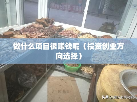 做什么项目很赚钱呢（投资创业方向选择）