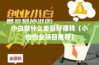 小白做什么类目好赚钱（小白创业项目推荐）