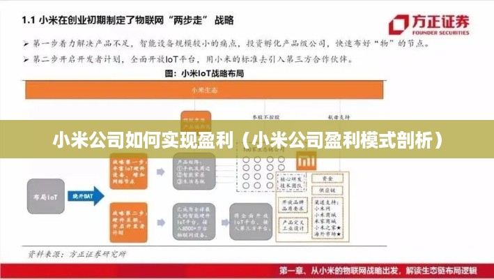 小米公司如何实现盈利（小米公司盈利模式剖析）