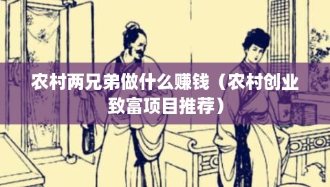 农村两兄弟做什么赚钱（农村创业致富项目推荐）