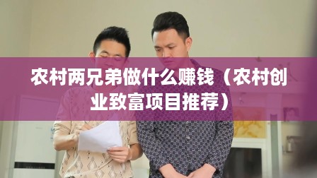 农村两兄弟做什么赚钱（农村创业致富项目推荐）