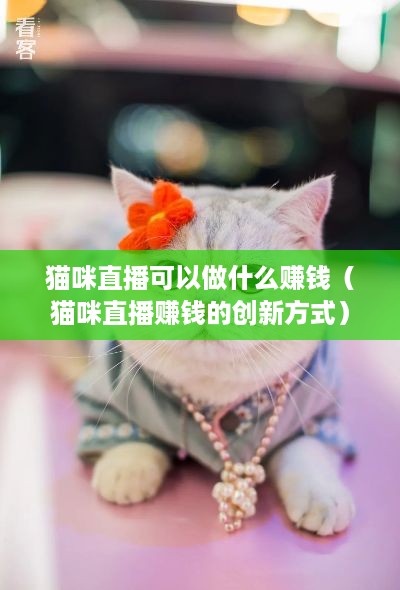 猫咪直播可以做什么赚钱（猫咪直播赚钱的创新方式）