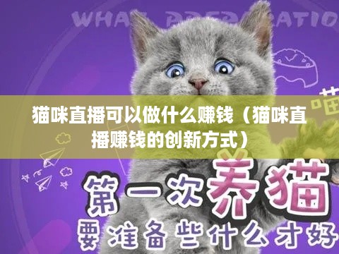 猫咪直播可以做什么赚钱（猫咪直播赚钱的创新方式）