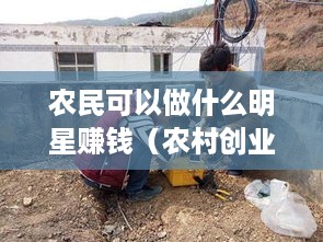 农民可以做什么明星赚钱（农村创业项目推荐）